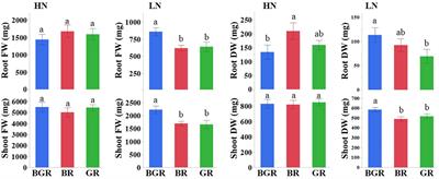 Biochemical repercussions of light spectra on nitrogen metabolism in spinach (Spinacia oleracea) under a controlled environment